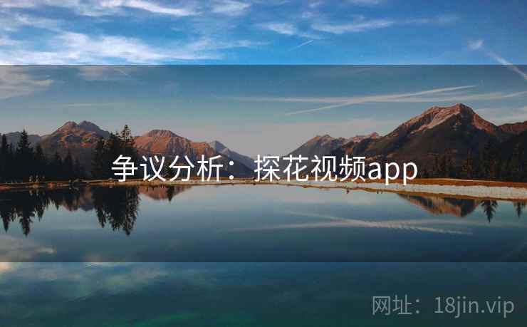 争议分析：探花视频app
